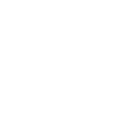 Markers Drone Icon