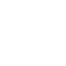Medical Case Repeat Icon