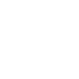 Medical Case Icon