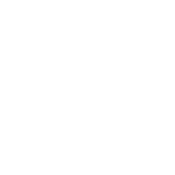Medical Mind Icon