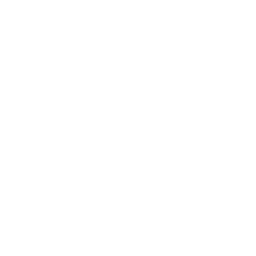 Megapixel Label Icon