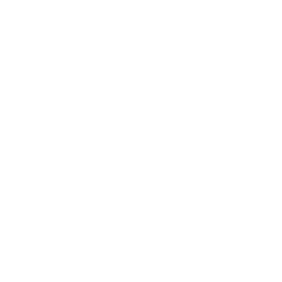 Mind Map Icon