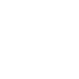Mobile Drone Icon