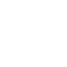 Money Increase Icon