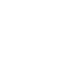 Money Sack Icon