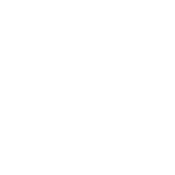Money Stack Variant Icon