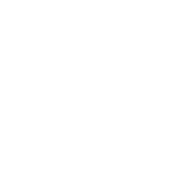 Monitor Drone Icon