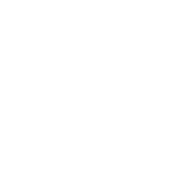 NDVI Drone Icon