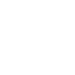 Night Time Operations Icon