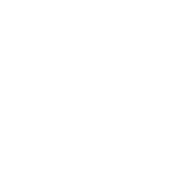 Nir Label Icon
