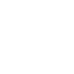 No Cloud Icon
