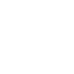 Pilot Team Icon