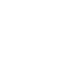 Pipeline Health Icon