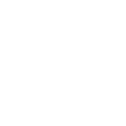 Portable Drive Data Search Icon