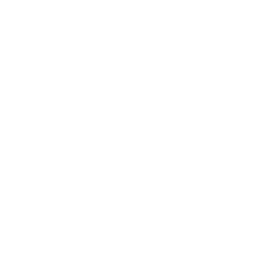 Portable Drives Icon