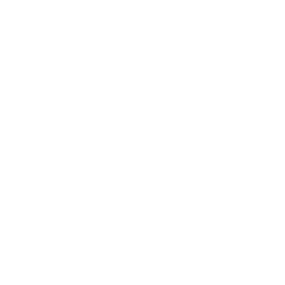 Pre-Flight Drone Icon