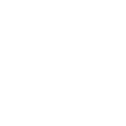 Processor Drone Icon