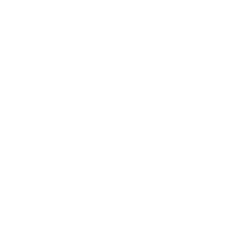 Propellor Variant Ring Icon