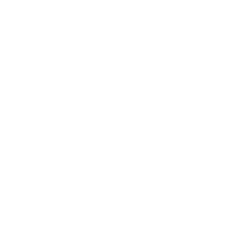 Propellor Variant Icon