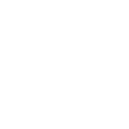 Quadcopter Drone Icon