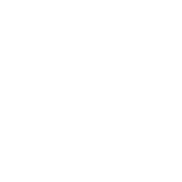 Quadcopter Variant Drone Icon