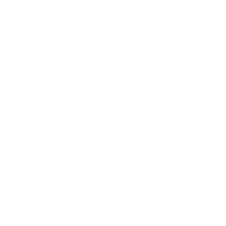 Quarry Camera Icon