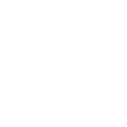 Quarry Drone Icon