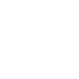 Quarry Shield Icon