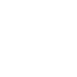 Racing Drone Money Icon