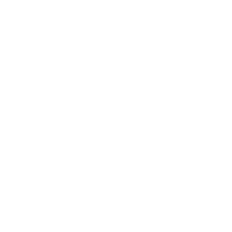 Racing Drone Icon