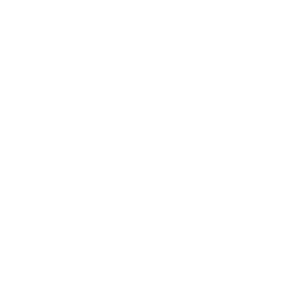 Screwdriver Wrench Icon