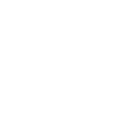 Settings Drone Icon