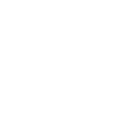 Shield Drone Icon