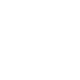 Shipping Box Camera Icon
