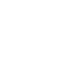 Shipping Box Lock Icon