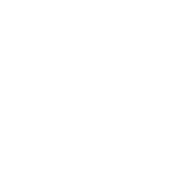 Shipping Box Shield Icon