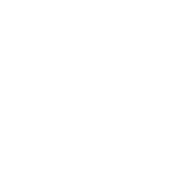 Shipping Box Video Icon