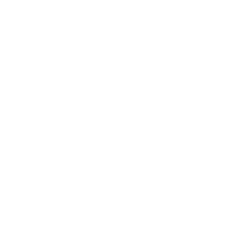 Shutter 1/15 Icon