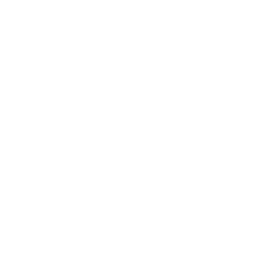Shutter 1/250 Icon