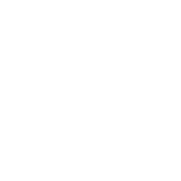Solar Array Annotated Icon