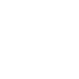 Solar Array Lock Icon