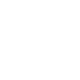 Solar Array Measure Icon