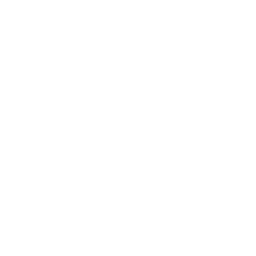 Solar Array Mind Icon