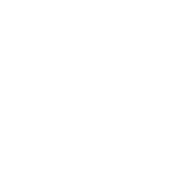 Solar Array Money Icon