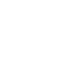 Solar Array Report Search Icon
