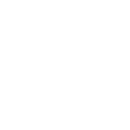 Solar Array Report Shield Icon