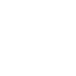 Solar Array Report Sun Icon