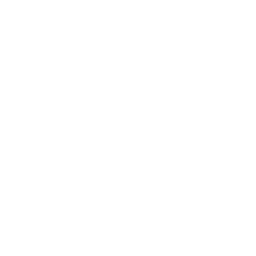 Solar Array Sun Icon