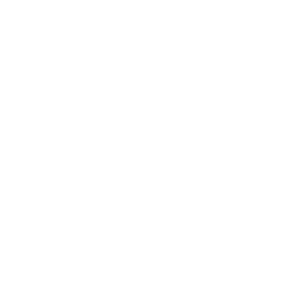Speaker Volume High Icon