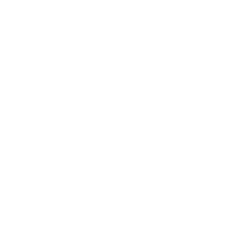 Stabilizer Rig Camera Variant Icon